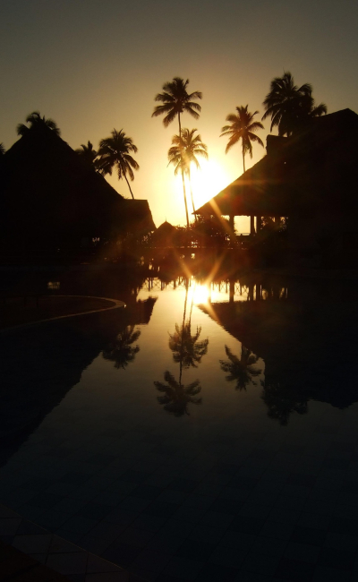Palmensilhouette bei Sonnenuntergang auf Sansibar